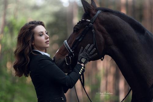  лошади и люди  ◆ horse and human