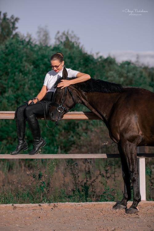  лошади и люди  ◆ horse and human