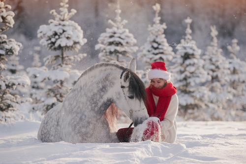  лошади и люди  ◆ horse and human
