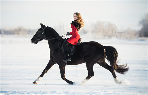  лошади и люди  ◆ horse and human