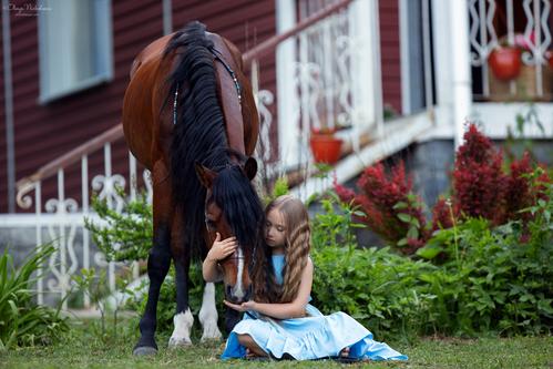  лошади и люди  ◆ horse and human