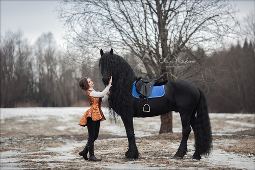  лошади и люди  ◆ horse and human