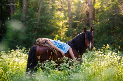 лошади и люди  ◆ horse and human