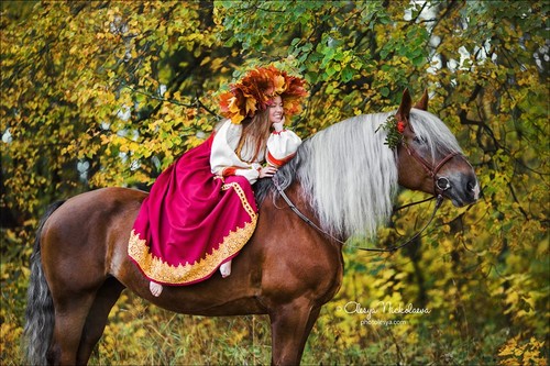  лошади и люди  ◆ horse and human