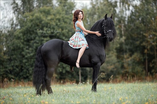  лошади и люди  ◆ horse and human