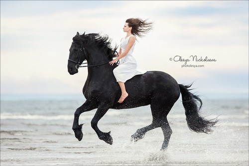  лошади и люди  ◆ horse and human