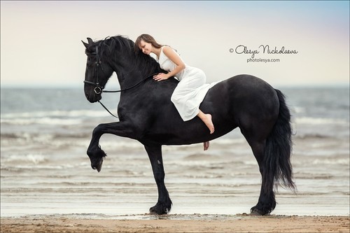  лошади и люди  ◆ horse and human