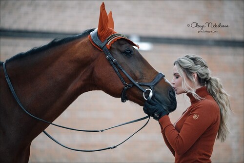  лошади и люди  ◆ horse and human