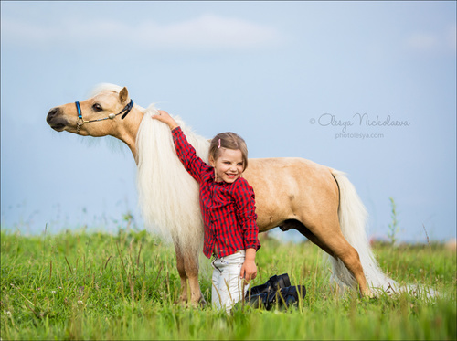  лошади и люди  ◆ horse and human