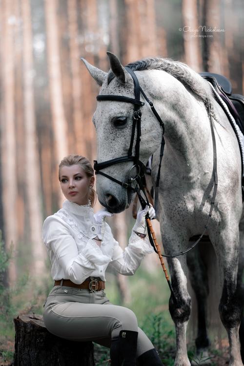  лошади и люди  ◆ horse and human