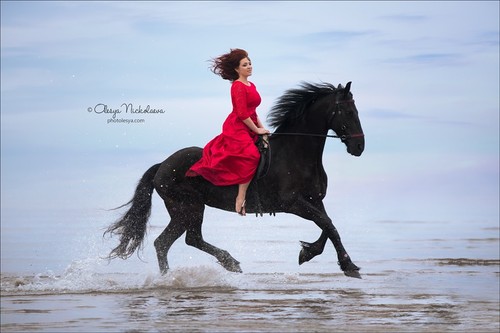  лошади и люди  ◆ horse and human