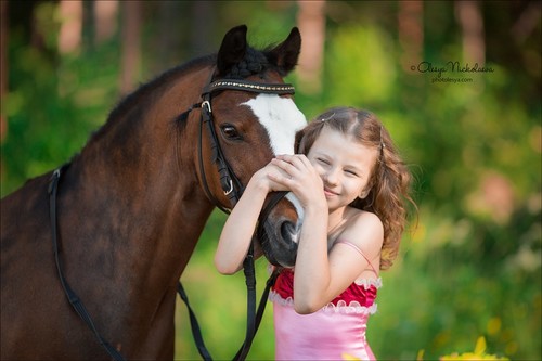  лошади и люди  ◆ horse and human