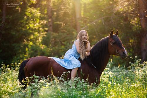  лошади и люди  ◆ horse and human