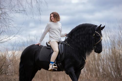  лошади и люди  ◆ horse and human