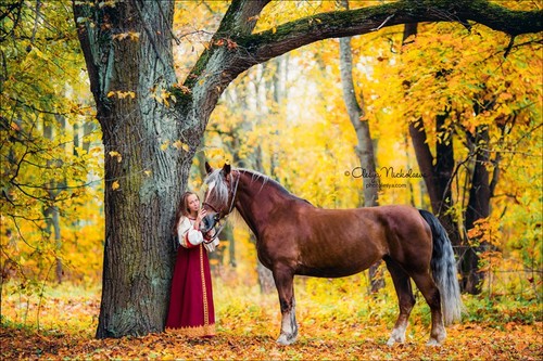  лошади и люди  ◆ horse and human