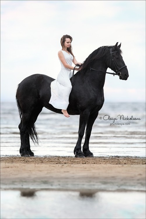  лошади и люди  ◆ horse and human