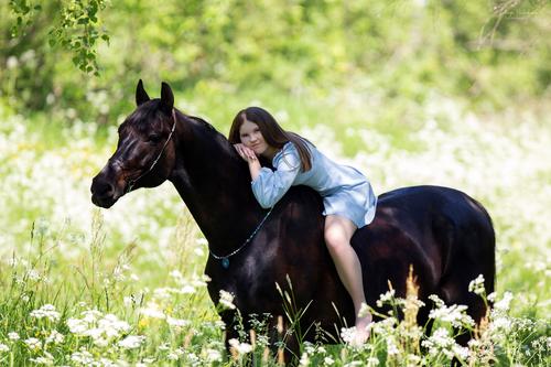  лошади и люди  ◆ horse and human