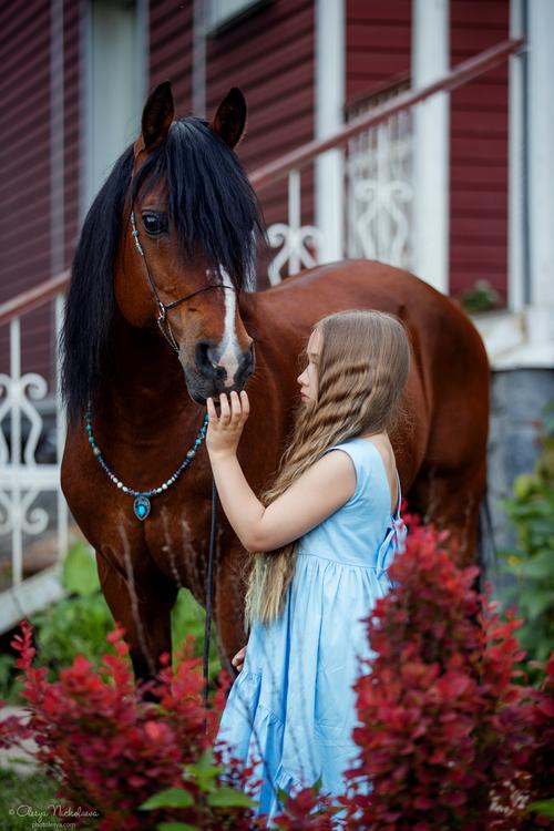  лошади и люди  ◆ horse and human