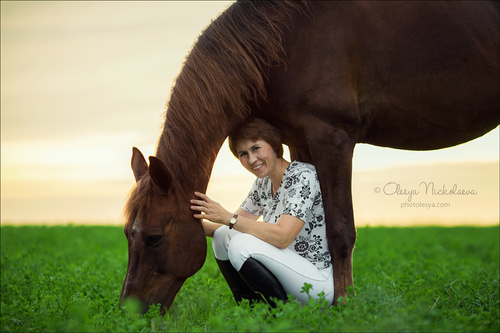  лошади и люди  ◆ horse and human