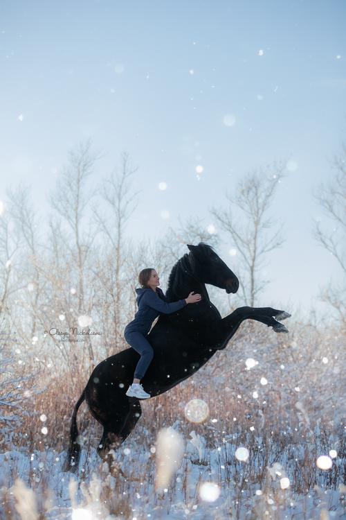  лошади и люди  ◆ horse and human