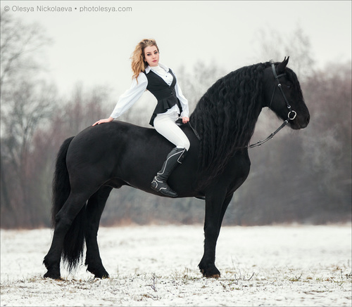  лошади и люди  ◆ horse and human