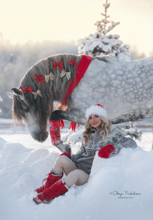  лошади и люди  ◆ horse and human