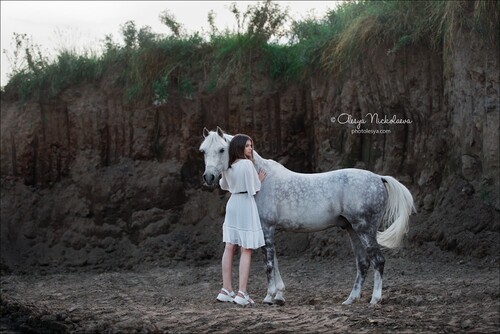  лошади и люди  ◆ horse and human