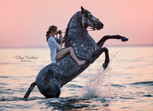  лошади и люди  ◆ horse and human