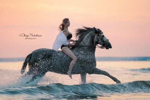  лошади и люди  ◆ horse and human