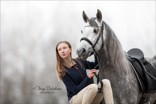  лошади и люди  ◆ horse and human