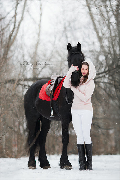  лошади и люди  ◆ horse and human