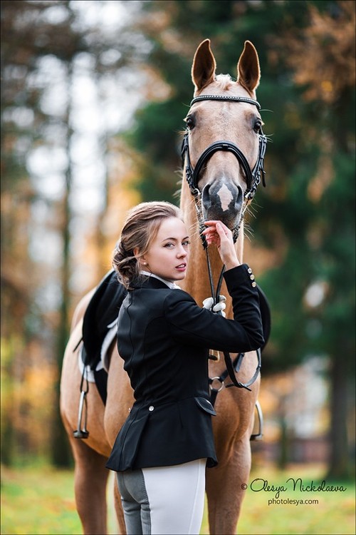  лошади и люди  ◆ horse and human