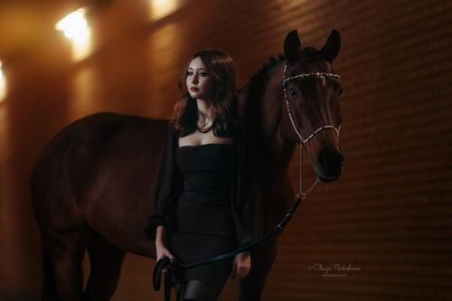  лошади и люди  ◆ horse and human