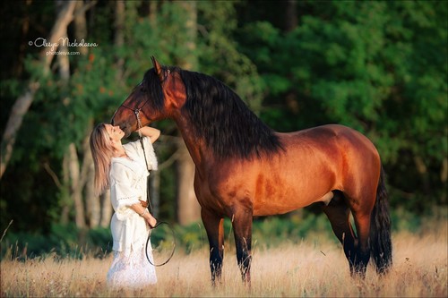  лошади и люди  ◆ horse and human