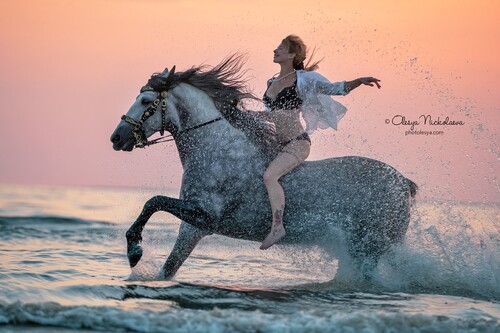  лошади и люди  ◆ horse and human