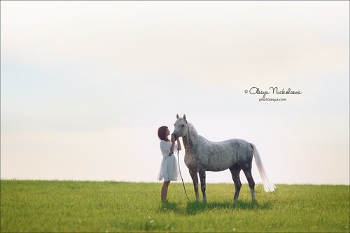  лошади и люди  ◆ horse and human