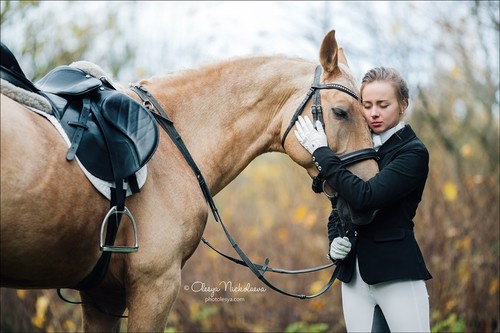  лошади и люди  ◆ horse and human