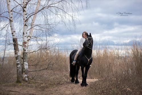  лошади и люди  ◆ horse and human