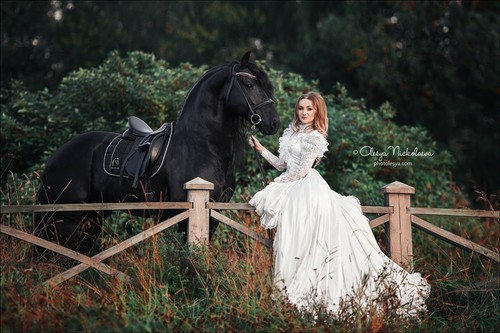  лошади и люди  ◆ horse and human