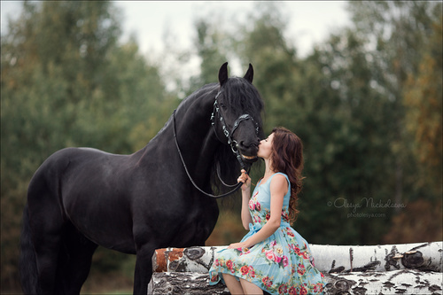  лошади и люди  ◆ horse and human