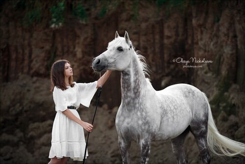  лошади и люди  ◆ horse and human