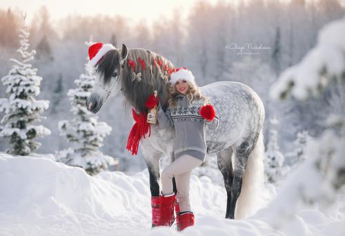  лошади и люди  ◆ horse and human