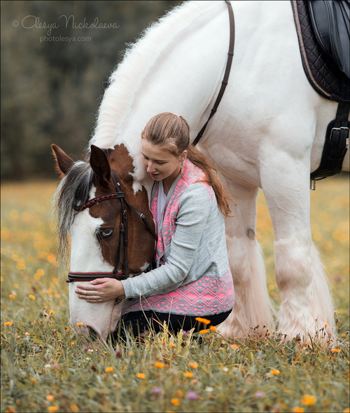  лошади и люди  ◆ horse and human