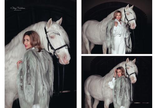  лошади и люди  ◆ horse and human
