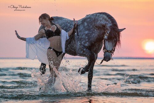  лошади и люди  ◆ horse and human