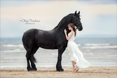  лошади и люди  ◆ horse and human