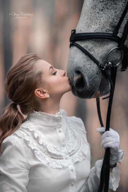  лошади и люди  ◆ horse and human