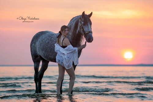  лошади и люди  ◆ horse and human