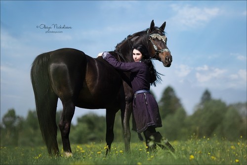  лошади и люди  ◆ horse and human