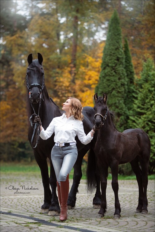  лошади и люди  ◆ horse and human